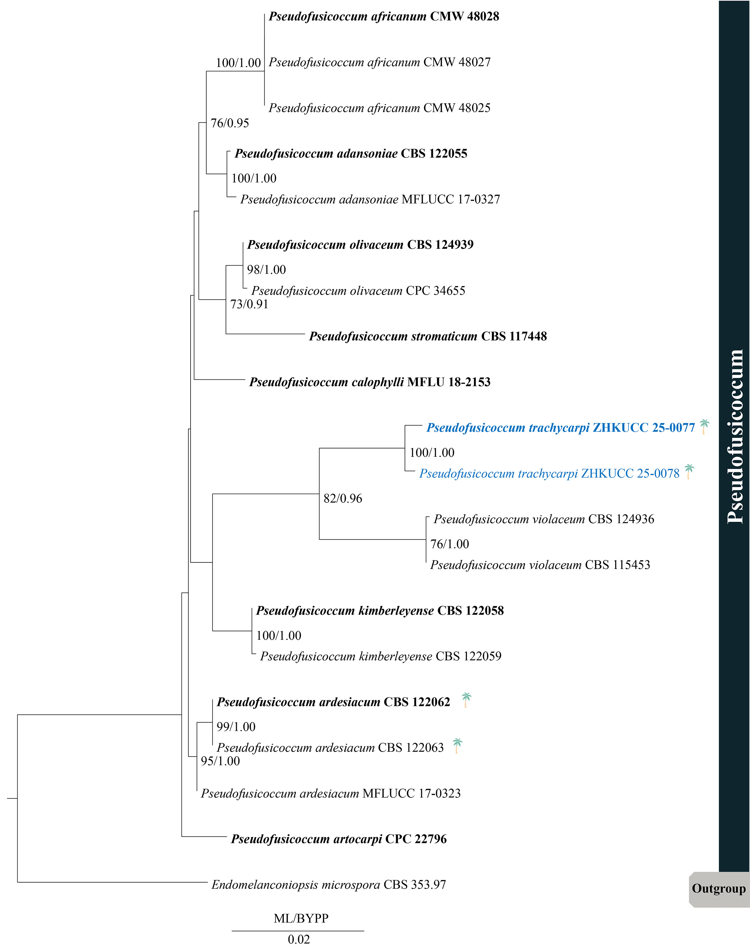 Figure 10